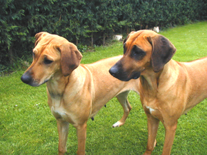 Kiya & Rifa (June 2005)